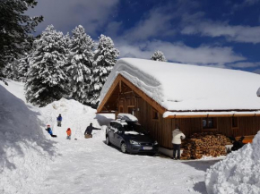 Отель Wildererhütte Chalet Helmut  Туррахерхёэ